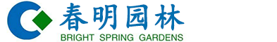 景德鎮(zhèn)安遠(yuǎn)公路工程有限公司